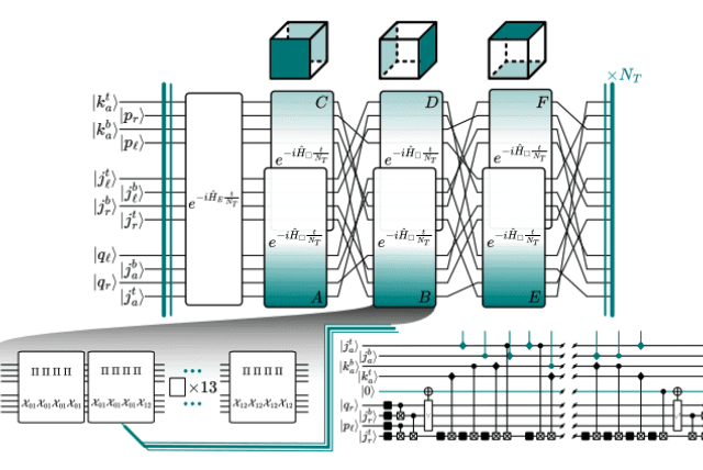 Quantum Simulation Maps Lattice Gauge Theory to Scalable Digital Circuits.