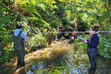 Researchers surveying salmon habitats
