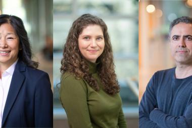 Headshots of Naoko Ellis, Jenna Usprech, Ahmad Mohammadpanah