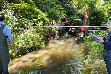 Researchers taking measurements while standing in a creek, surrounded by foliage.