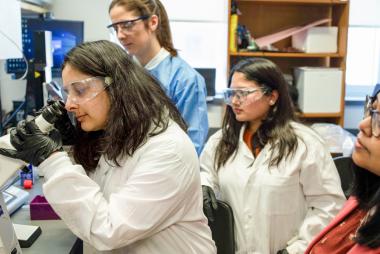 Four women in a lab, with one looking into a microscope and the other three observing her