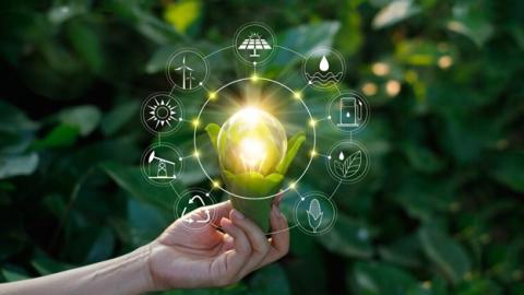 Hand holding a lightbulb within leaves, surrounded by circular economy icons