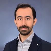 Amir Dehkhoda portrait