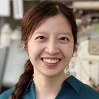 Celestine Hong portrait